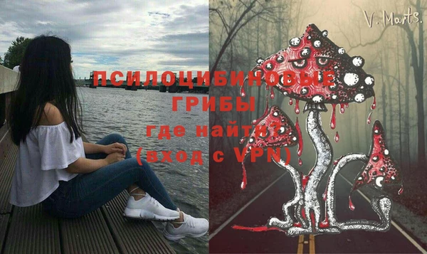 трава Куйбышев
