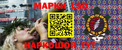 apvp Гусев