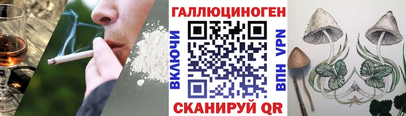 Псилоцибиновые грибы Psilocybe  blacksprut зеркало  Малгобек 