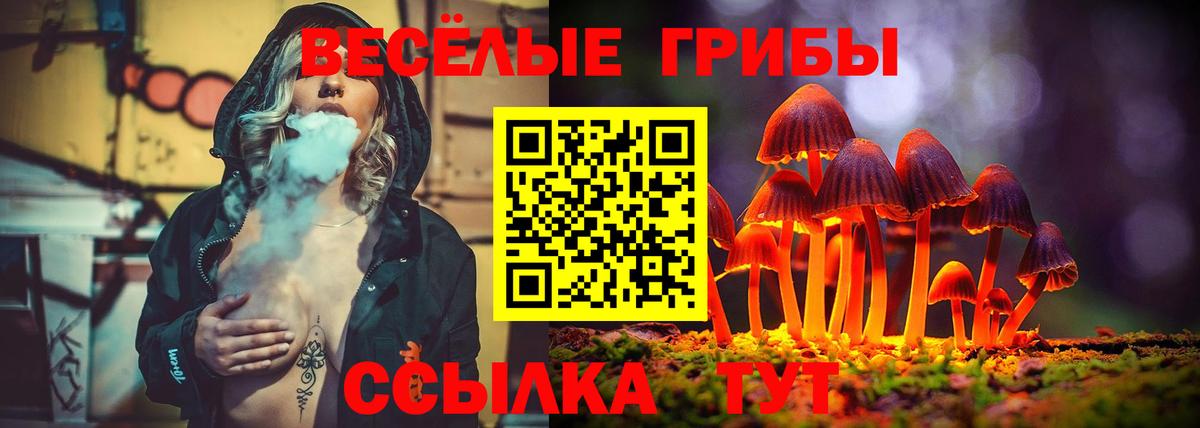 Галлюциногенные грибы Magic Shrooms  Вход с VPN  Малгобек 