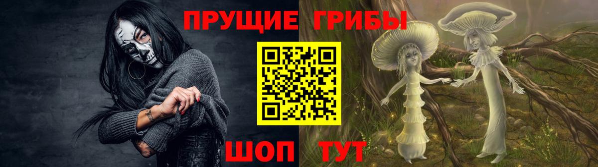 Псилоцибиновые грибы Cubensis Малгобек